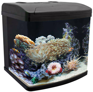 richmond aquarium newsletter