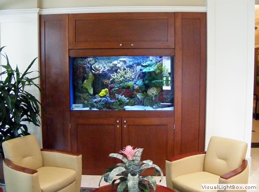 custom aquariums virginia best