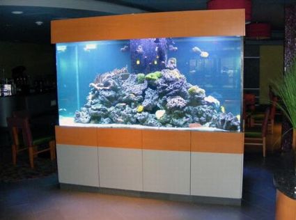 Virginia Beach Fish Tank Services